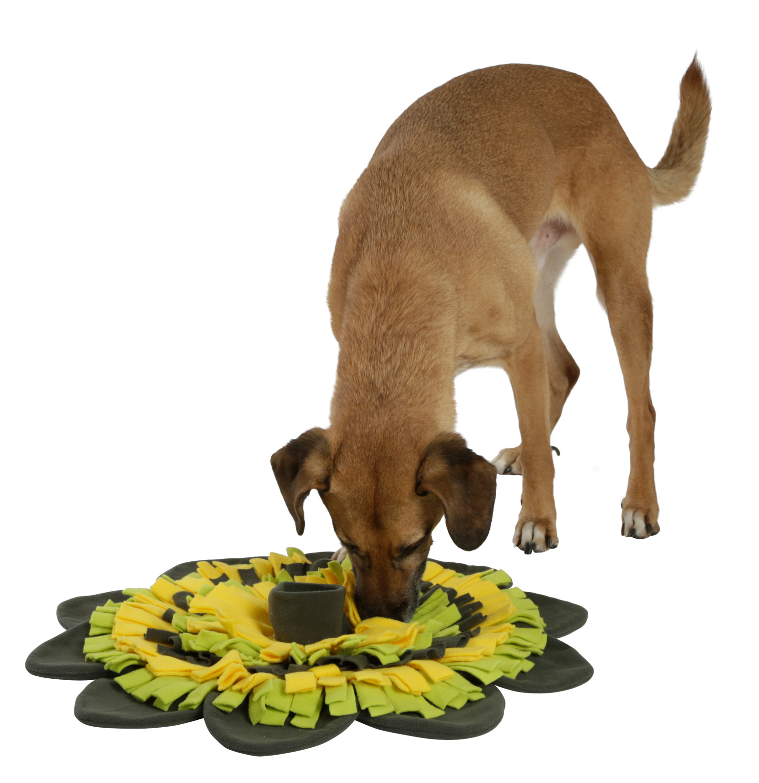 Kerbl Pet Sunflower tappeto olfattivo cane rotondo