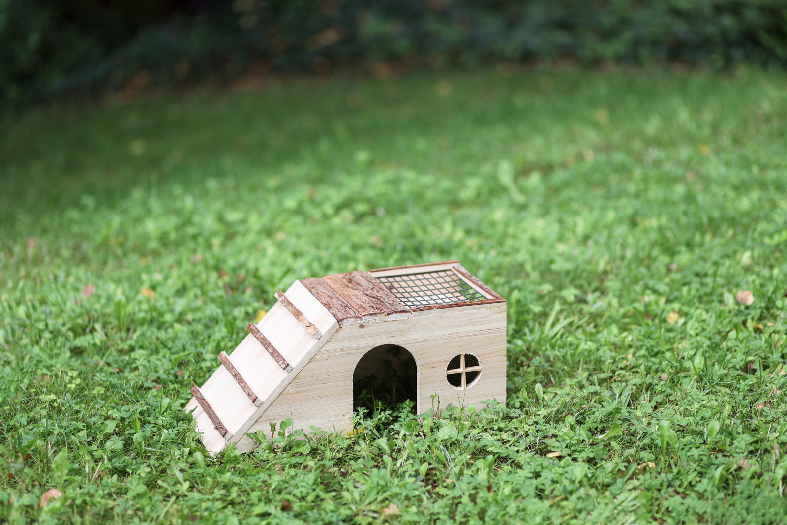 Kerbl Pet Rodent House casetta legno roditori con rampa