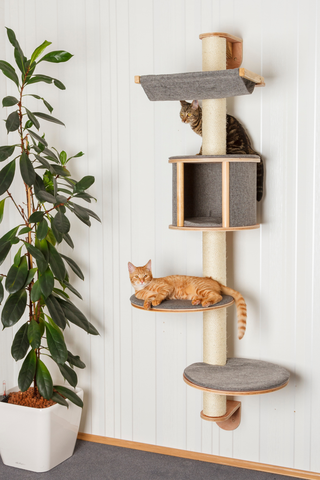Kerbl Pet Dolomit Tofana Tiragraffi parete gatto grigio