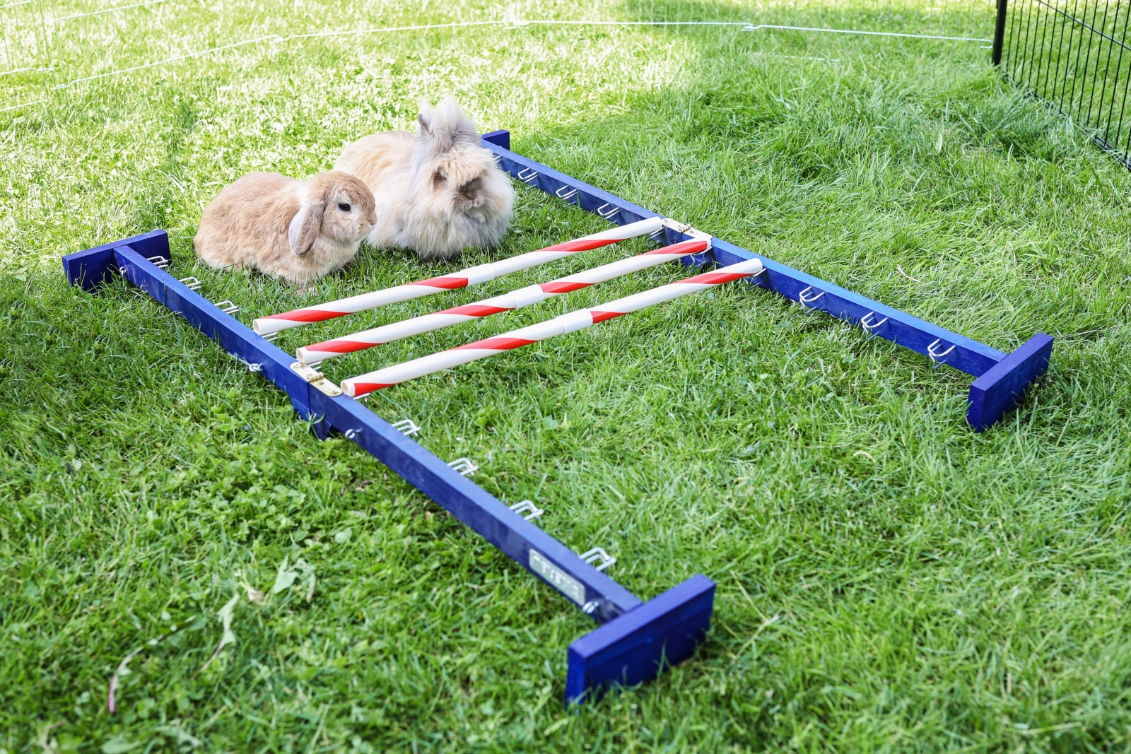 Kerbl Pet Combo Jump agility legno per roditori 10 barriere