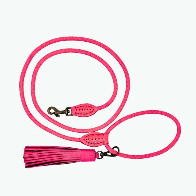 Dog with a Mission Classic Flamingo Guinzaglio S rosa 155 cm