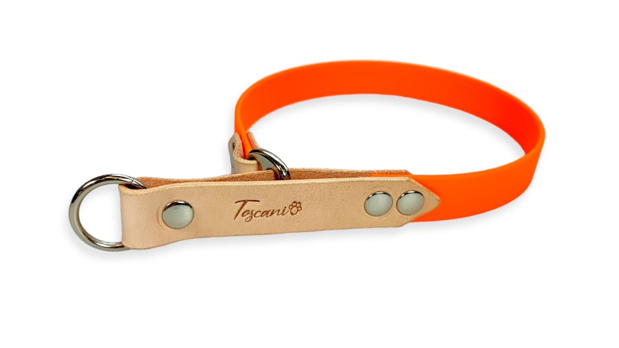 Toscani Cuoio Completo collare guinzaglio cane waterproof