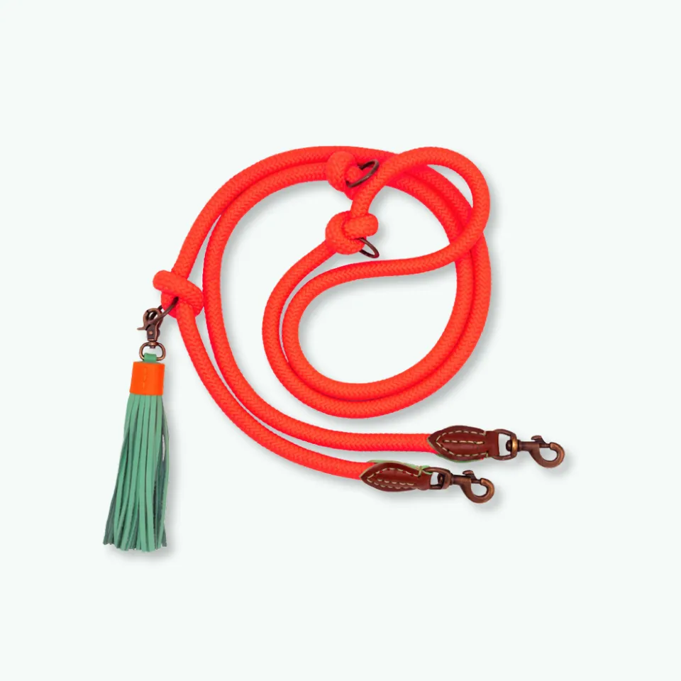 Dog with a Mission Carrot Cake guinzaglio cane L arancione lungo