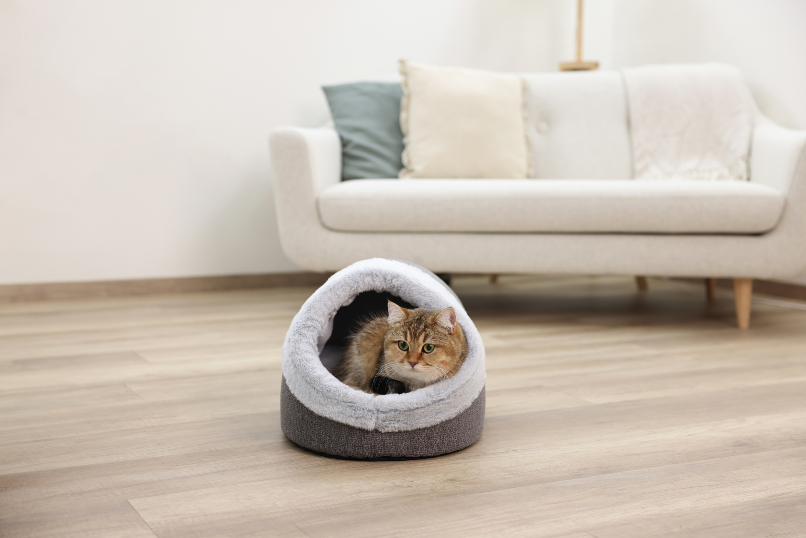 Kerbl Pet Jana cuccia grotta per gatti in peluche