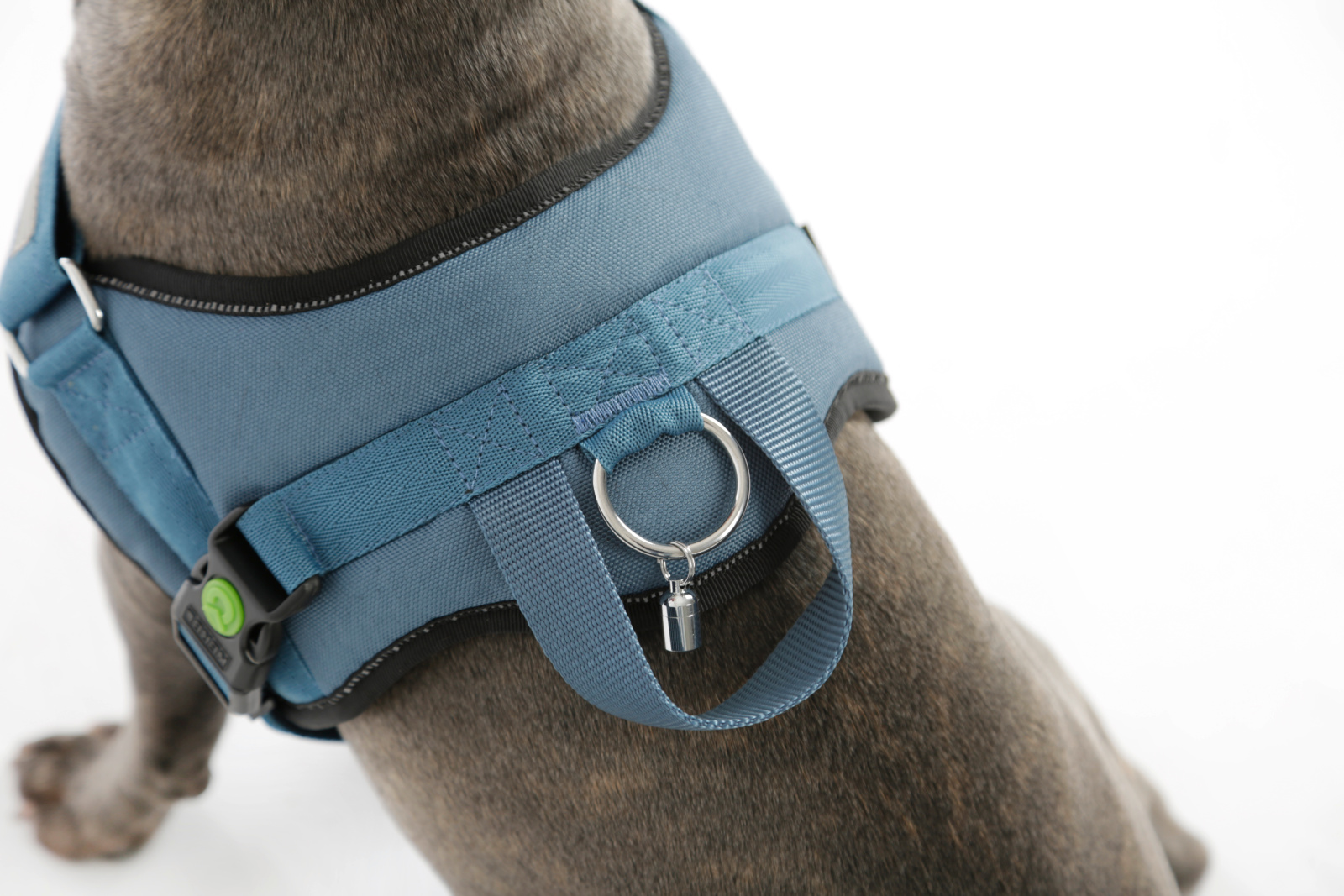 Kerbl Maestro 2.0 pettorina cane regolabile riflettente