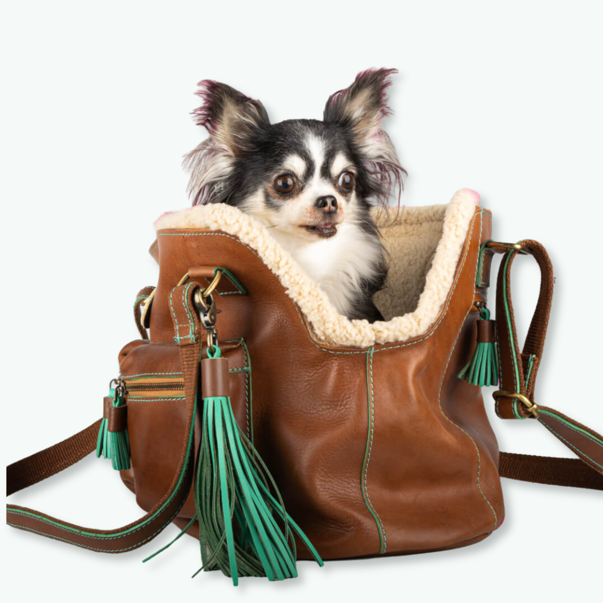 Dog with a Mission Blondie borsa cane pelle fino 5 kg