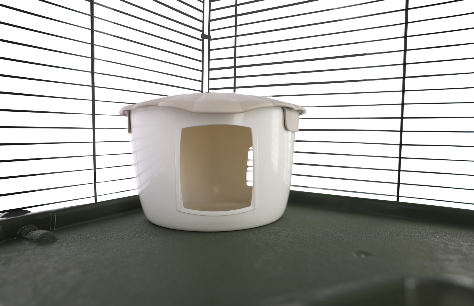 Kerbl Pet Flat Nature gabbia criceti 3 piani con ruota