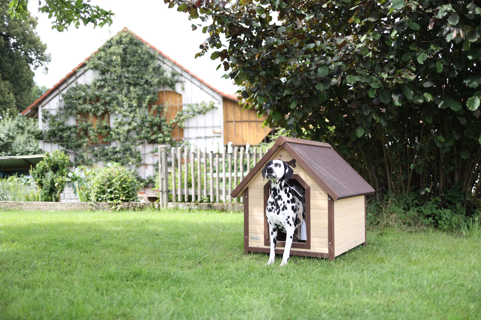 Kerbl Pet Dog House 4-Seasons cuccia cane esterno legno isolata