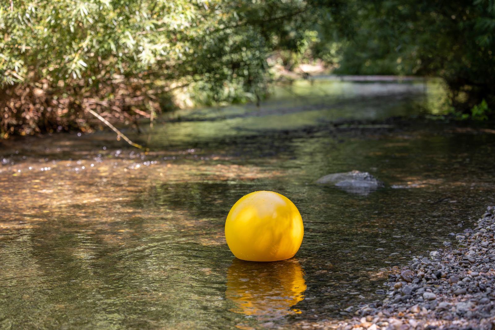 Kerbl Dog Toy palla gioco galleggiante per cani attiva