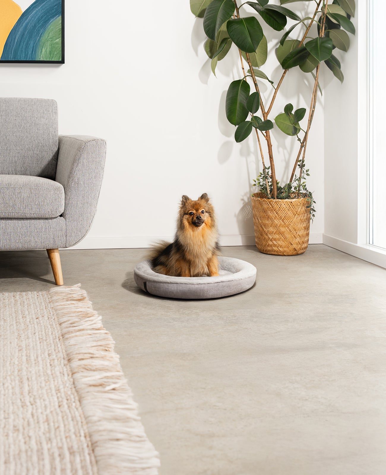 Lionto Hundebetten cuccia cani grigia 55 cm donut morbida