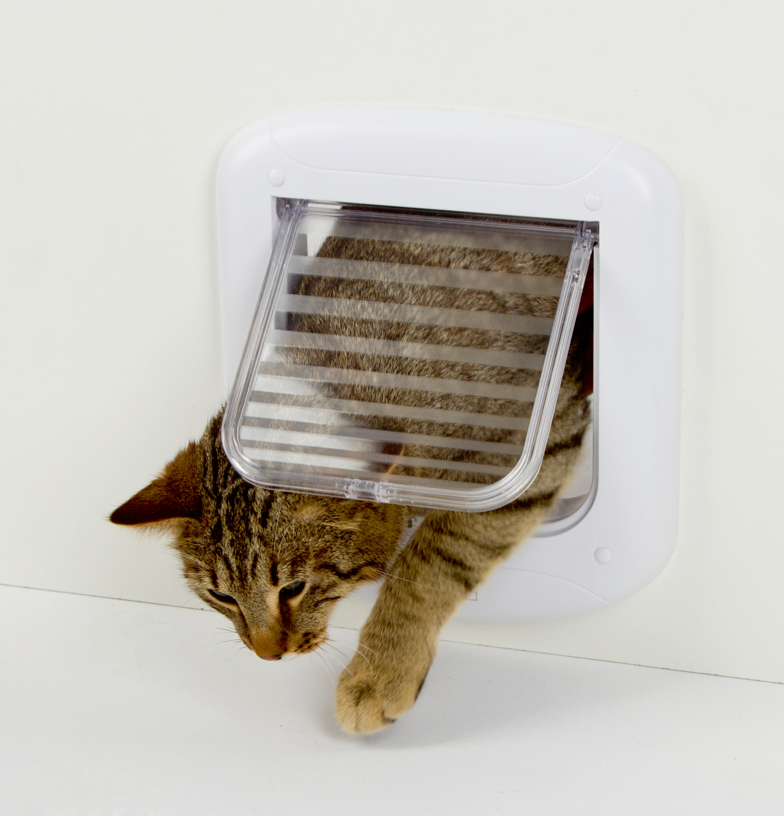 Kerbl Pet 4-way Cat Door gattaiola 4 vie 165x165 mm