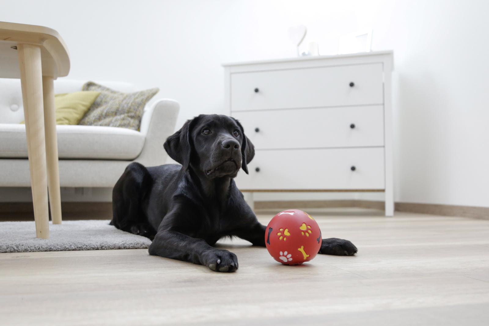 Kerbl Pet Snack Ball palla snack cane apertura regolabile