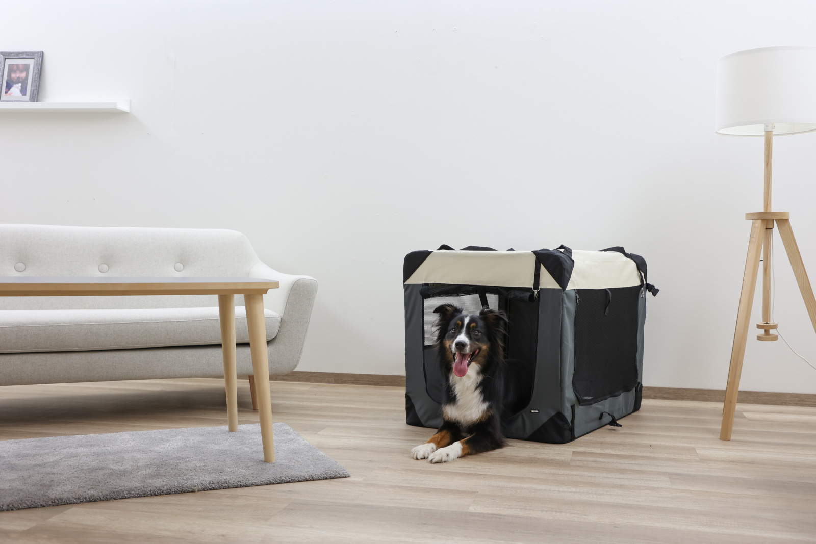 Kerbl Pet Journey Box trasporto cane alluminio nylon