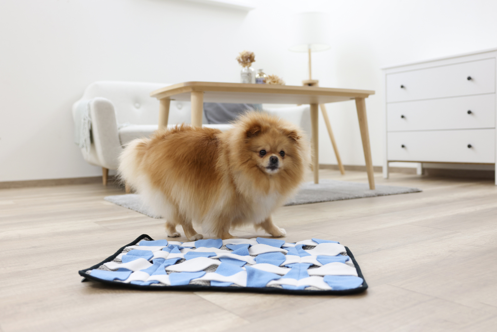 Kerbl Pet Waffle tappeto olfattivo cane pile lavabile
