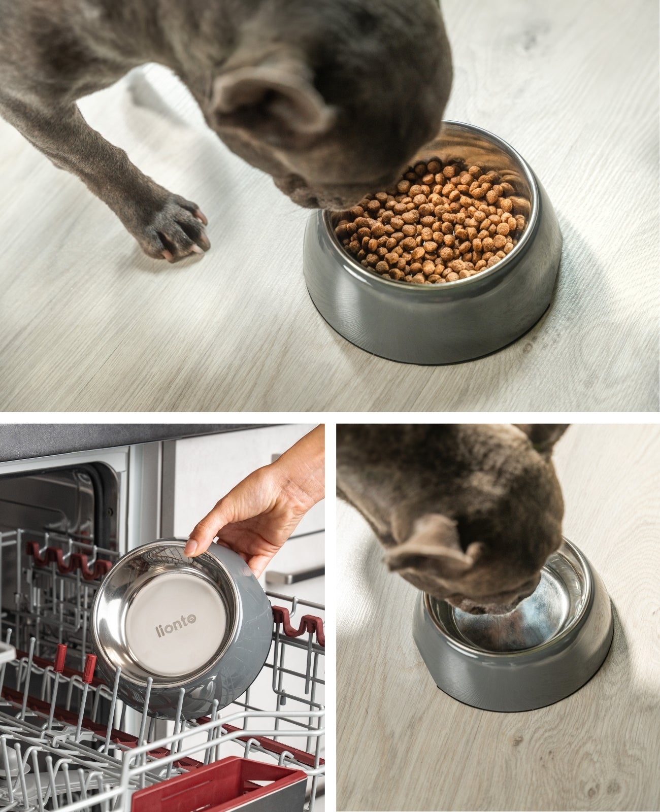 Lionto Hundenäpfe Ciotola Cane Acciaio Grigia 420 ml