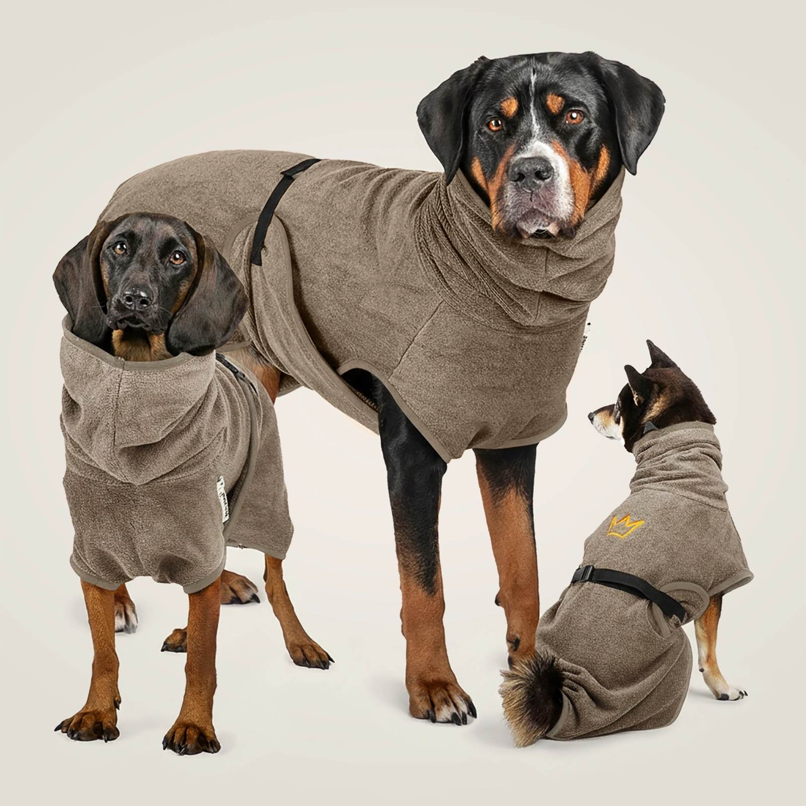 Rudelkönig Hundepflege accappatoio cane cotone khaki L