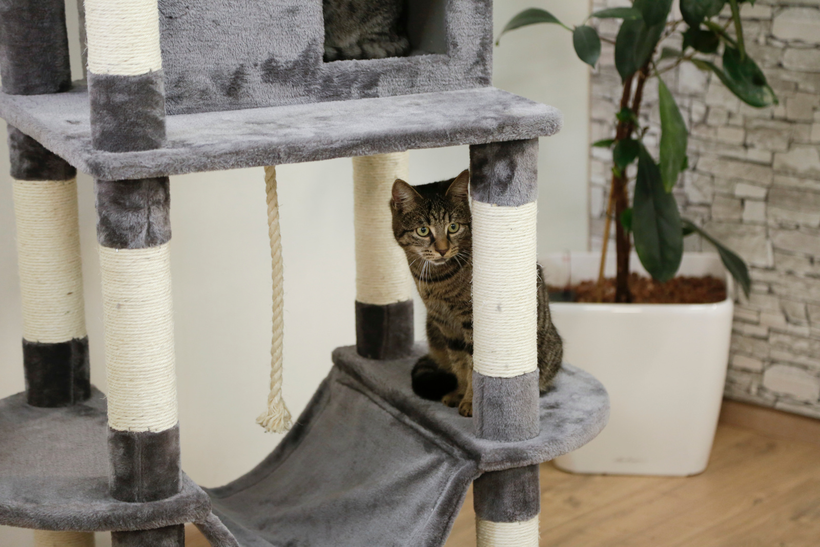 Kerbl Pet Matteo Albero Tiragraffi Gatto con Amaca Sisal
