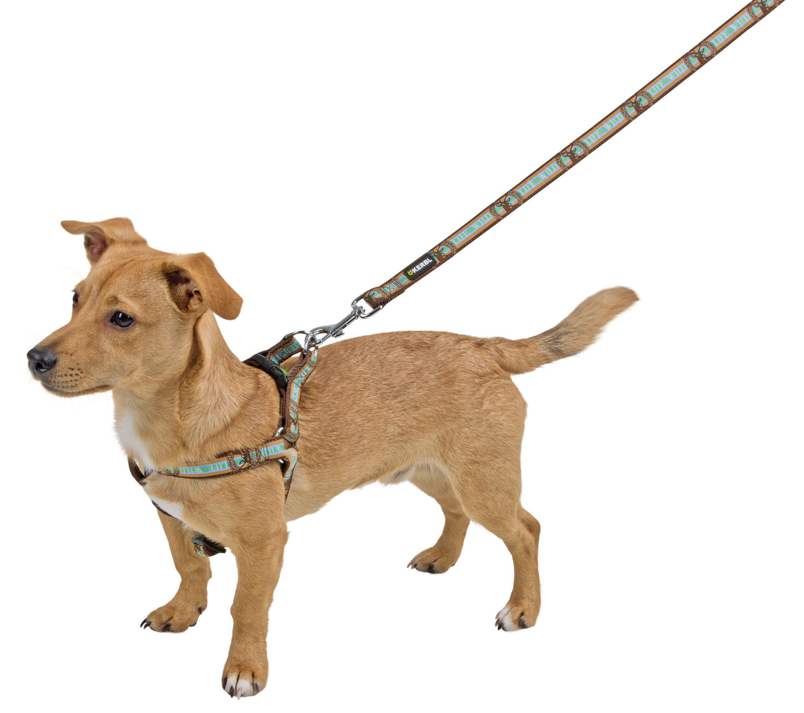 Kerbl Pet Harness Wild Life pettorina cane nylon regolabile