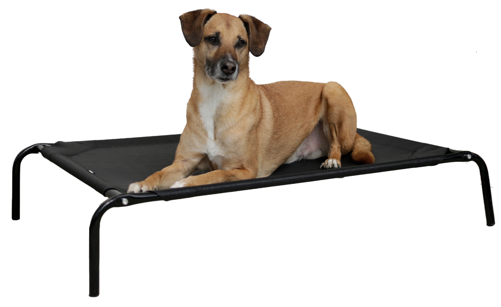 Kerbl Pet Vacation cuccia cane rialzata da esterno impermeabile