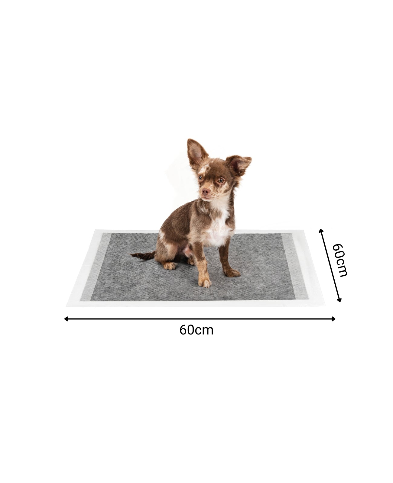 Lionto Hunde-Welpenausstattung traversina igienica 60x60 cm 50 pezzi carbone