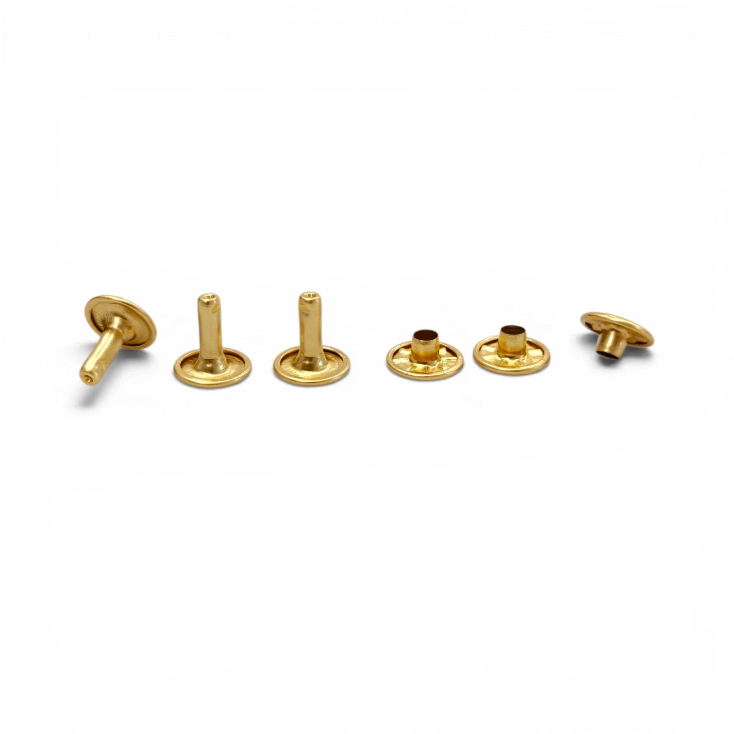 Toscani Rivetti doppia testa borchie ottone oro 10 mm