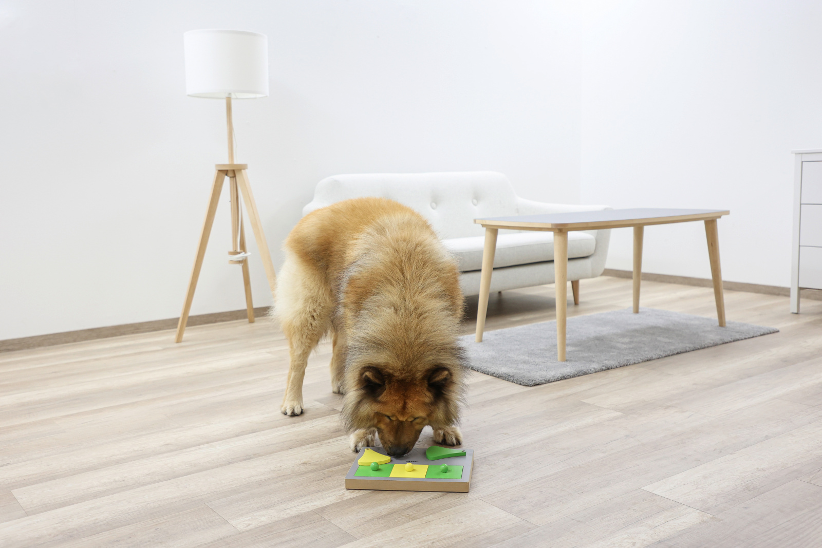 Kerbl Pet Dog Toy Torta Thinking and Learning Toy gioco cane legno facile