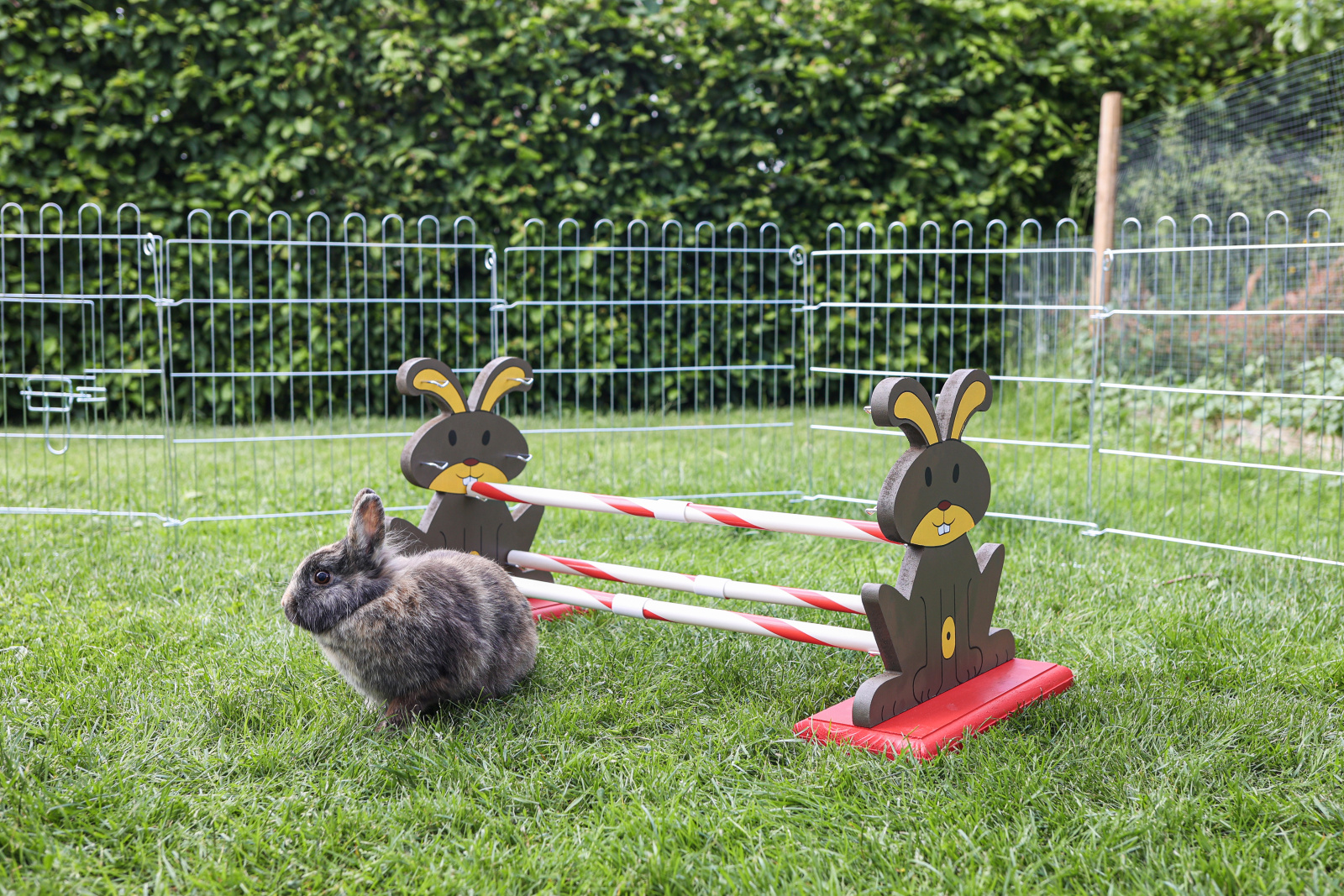 Kerbl Pet Rodent Agility ostacolo roditori legno 62 cm