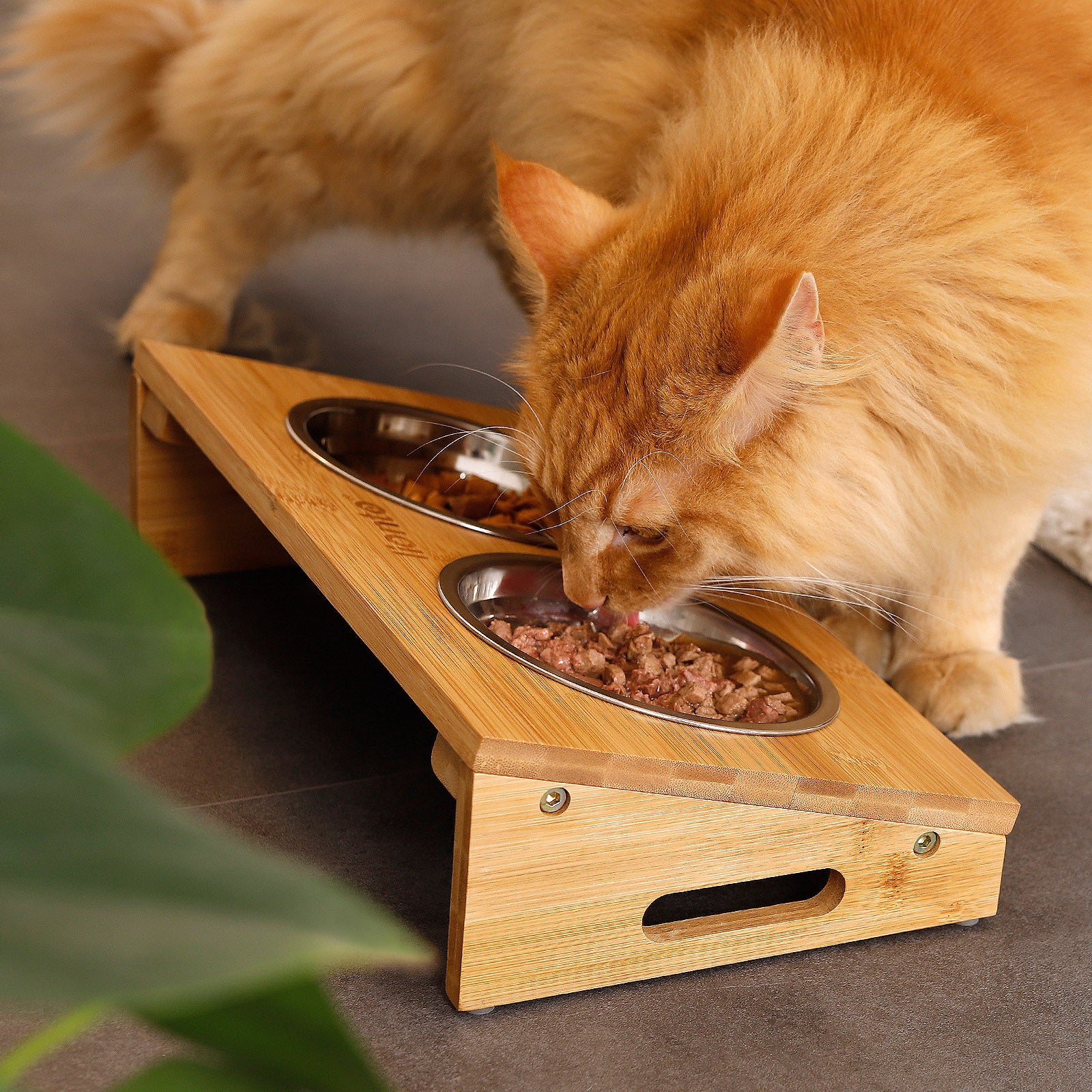 Lionto Katzenäpfe Ciotola Gatto Rialzata Bambù Doppia
