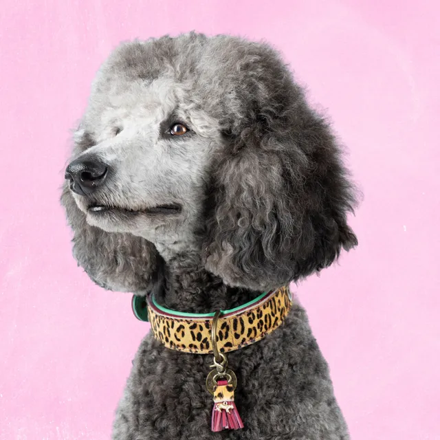 Dog with a Mission Lou Lou collare cane L pelle bordeaux animalier