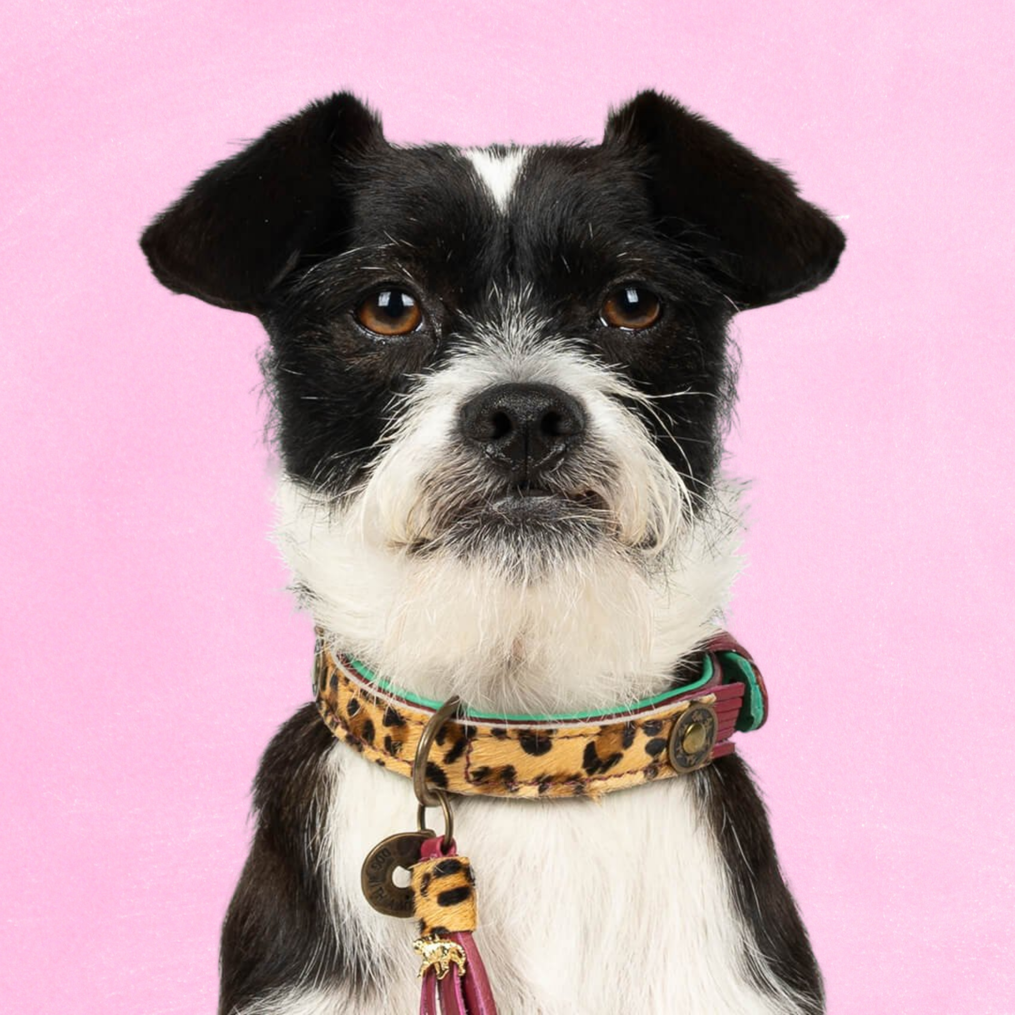Dog with a Mission Lou Lou Collare Cane S Bordeaux 30-33 cm