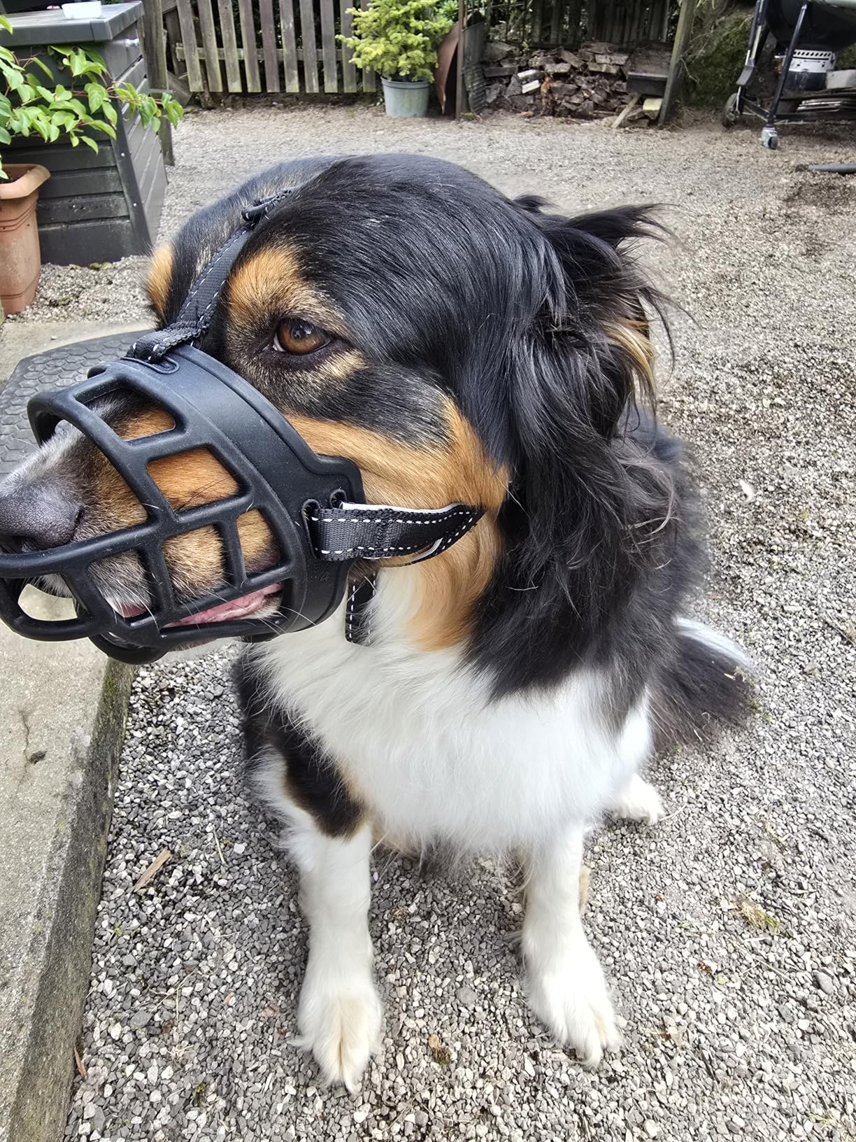OHCOZZY Museruole Cani Museruola Cesto Taglia 3 Nero Silicone