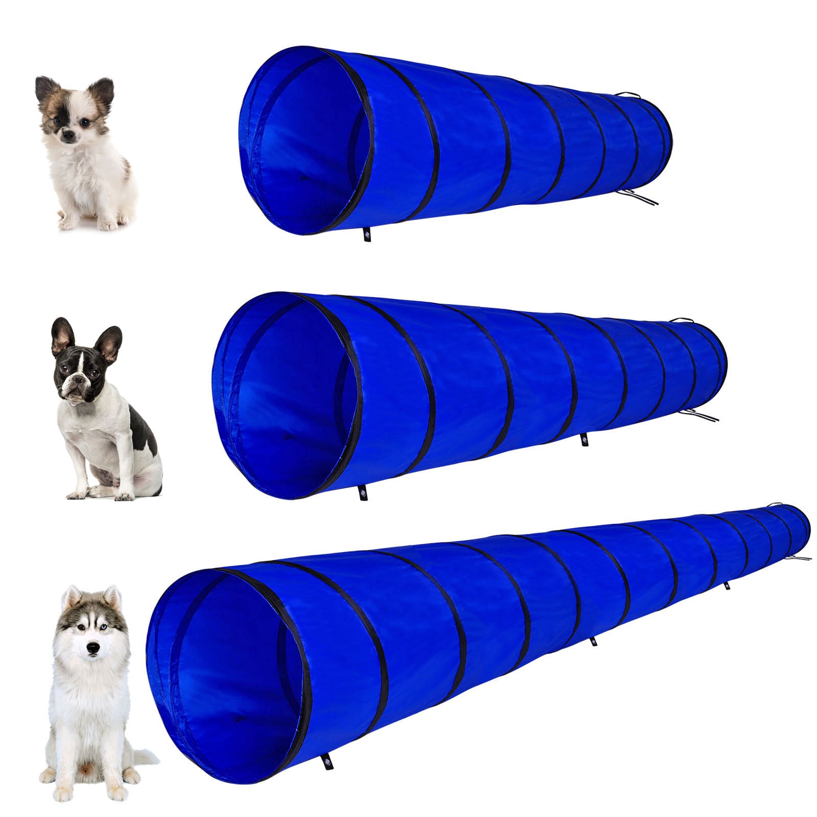 Lionto Agilitytunnel tunnel cane M 300x50 cm con borsa