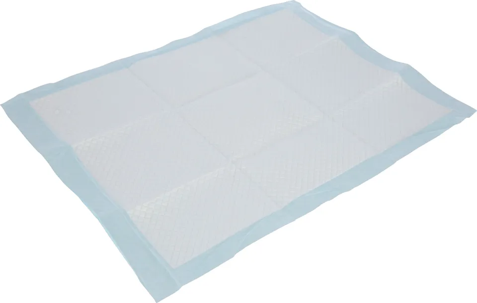 Kerbl Training Pad traversine cane assorbenti antiperdita