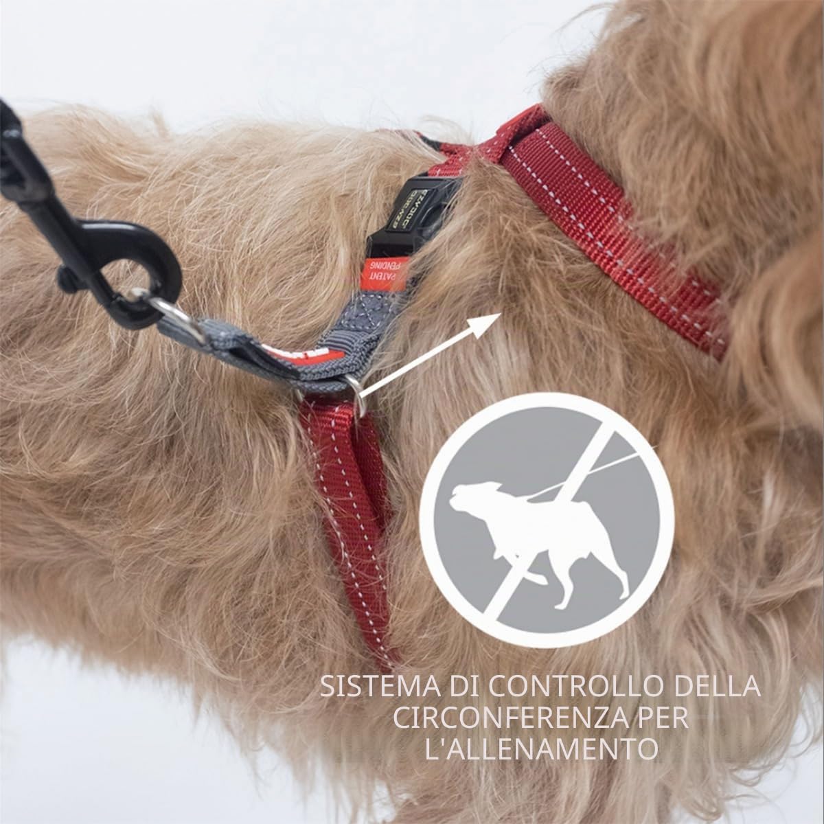 EzyDog Crosscheck Pettorina Anti-Traino Cane S Blu 38-52cm