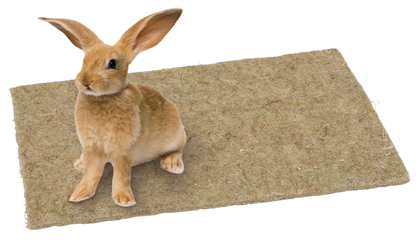 Kerbl Pet Rodent Mat tappetino canapa roditori naturale