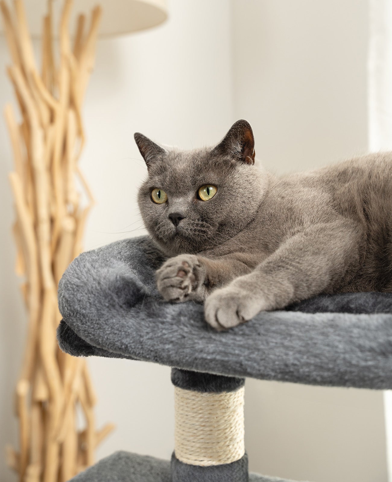 Lionto Katzenkratzbäume tiragraffi gatto 80 cm grigio chiaro