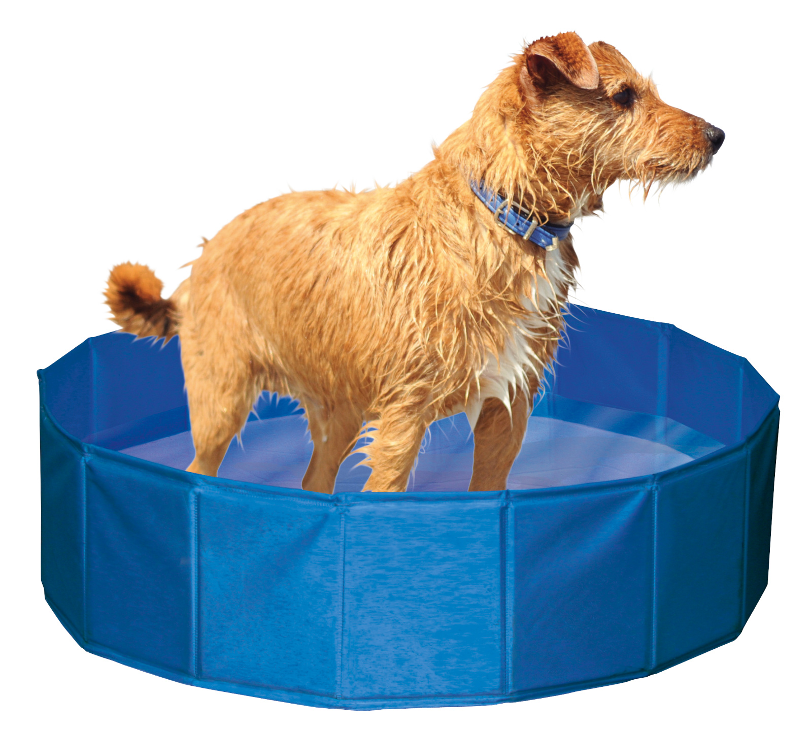 Kerbl Pet Dog Pool piscina cane pieghevole antiscivolo