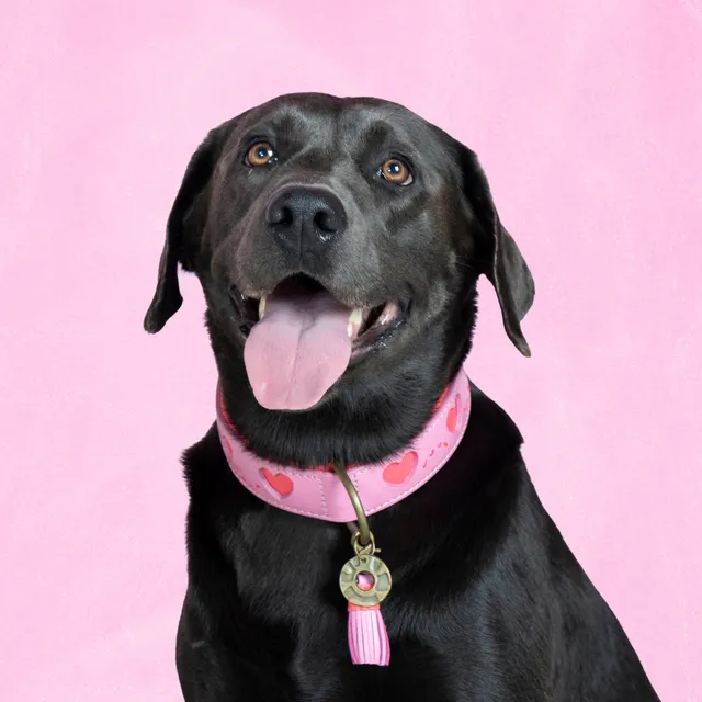 Dog with a Mission Sweety collare cane pelle rosa L 40-47 cm