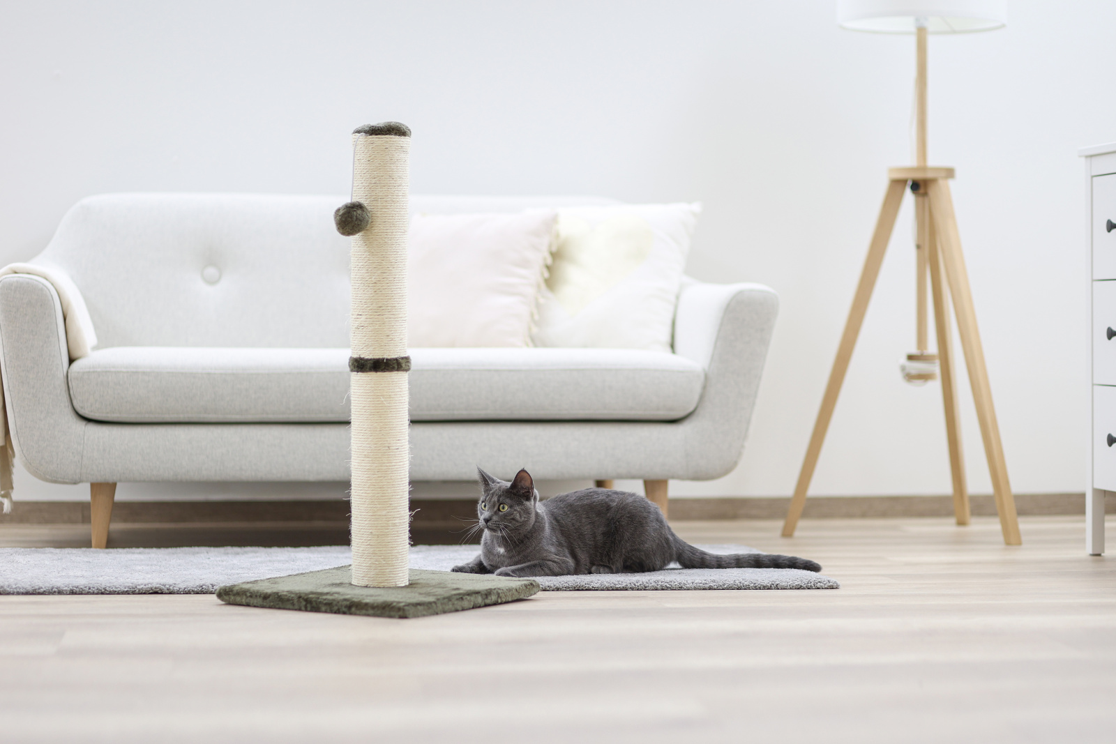 Kerbl Pet Opal Maxi tiragraffi colonna sisal con palla per gatti
