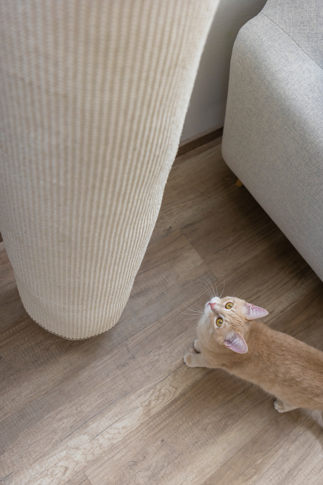 Kerbl Climber Mini sacco arrampicata gatto parete sisal