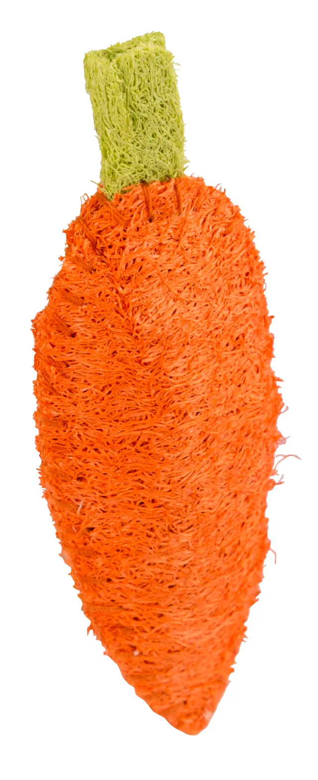 Kerbl Pet Loofah Carrot gioco snack roditori carota