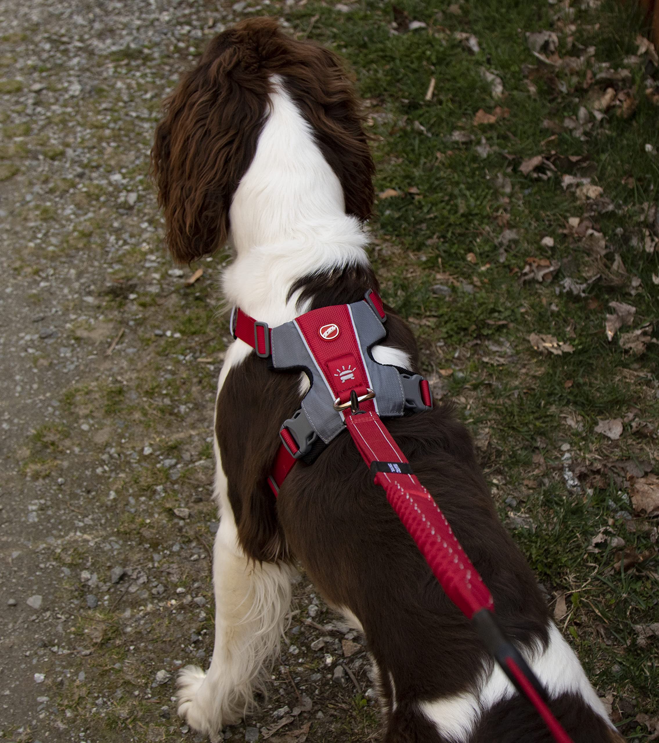 EzyDog X-Link pettorina per cani S verde oliva anti-tiro