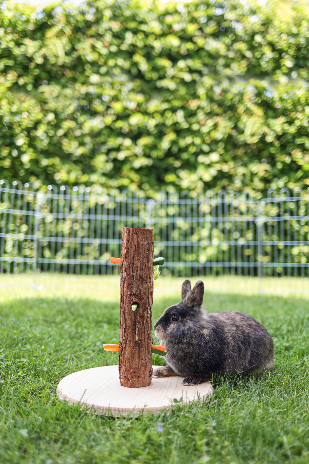 Kerbl Pet Feed Tree Nature albero porta cibo roditori legno 3 fori