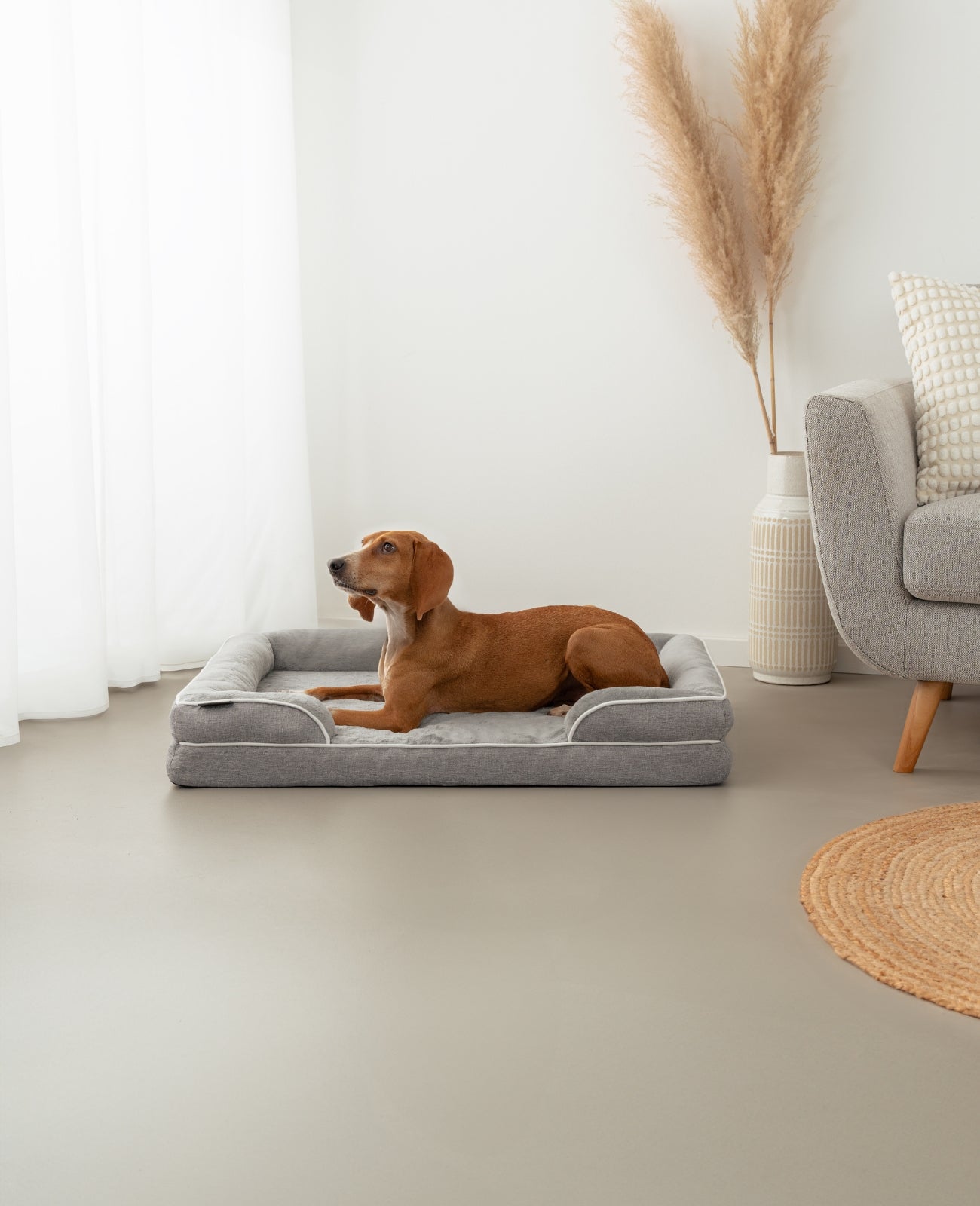 Lionto Hundebetten cuccia cane 122x89x20 cm grigia ortopedica