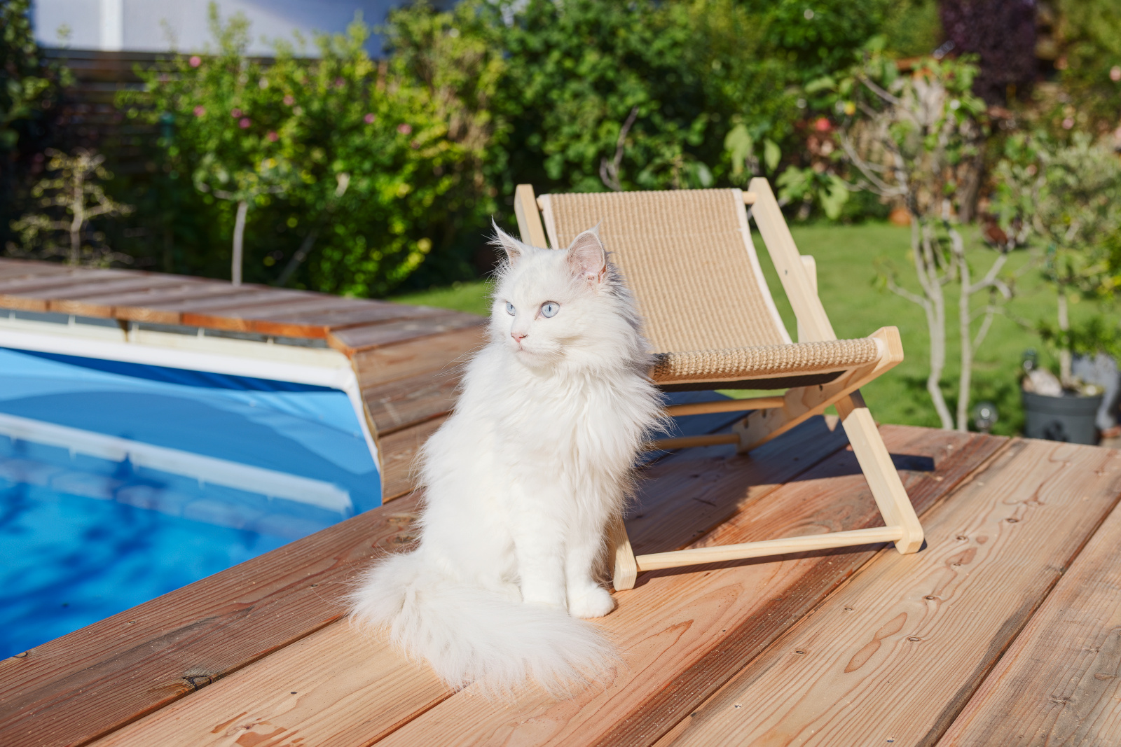 Kerbl Beach Lettino Gatto Legno Sisal 52x26 cm