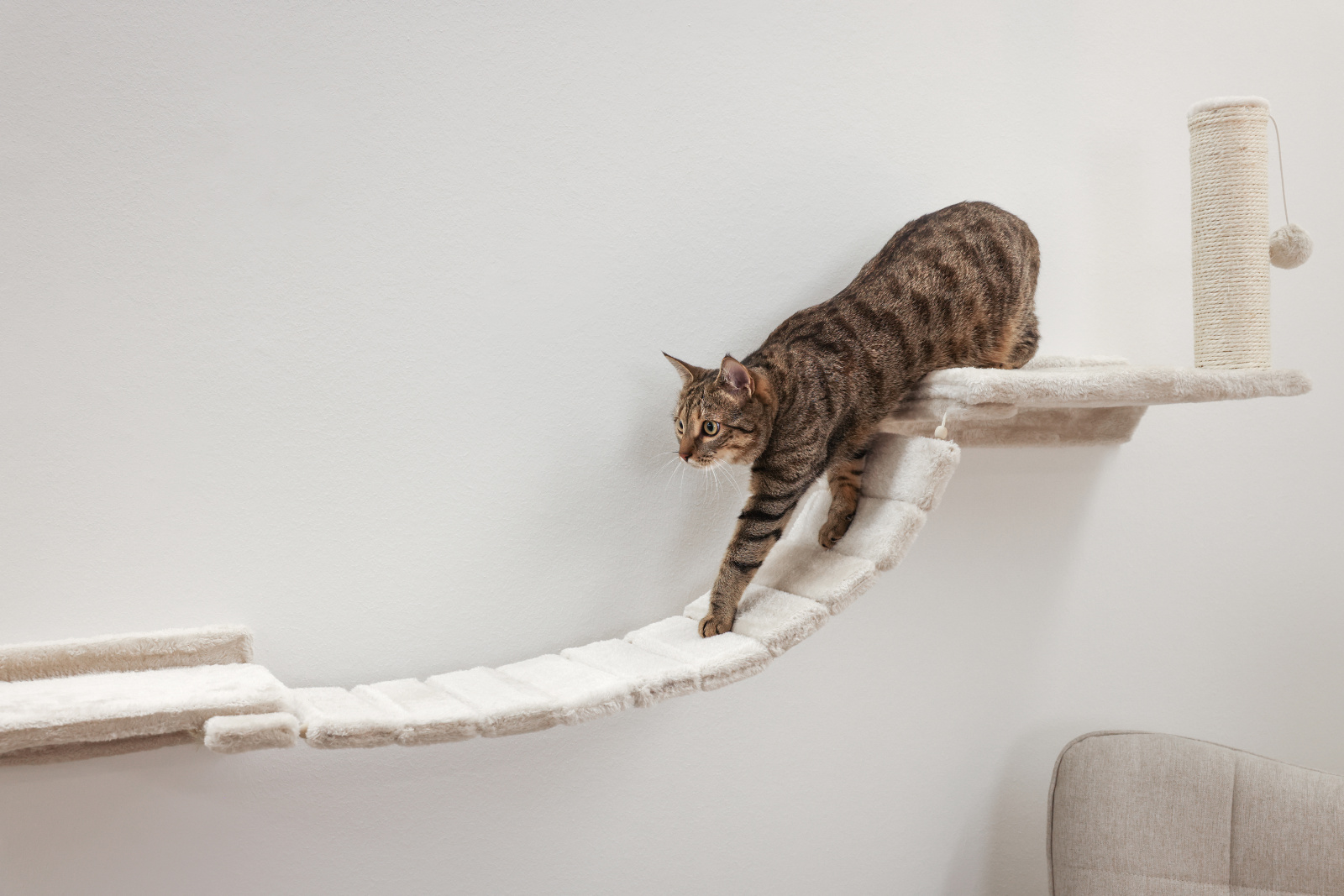 Kerbl Pet Matterhorn parete tiragraffi gatto 6 pezzi sisal
