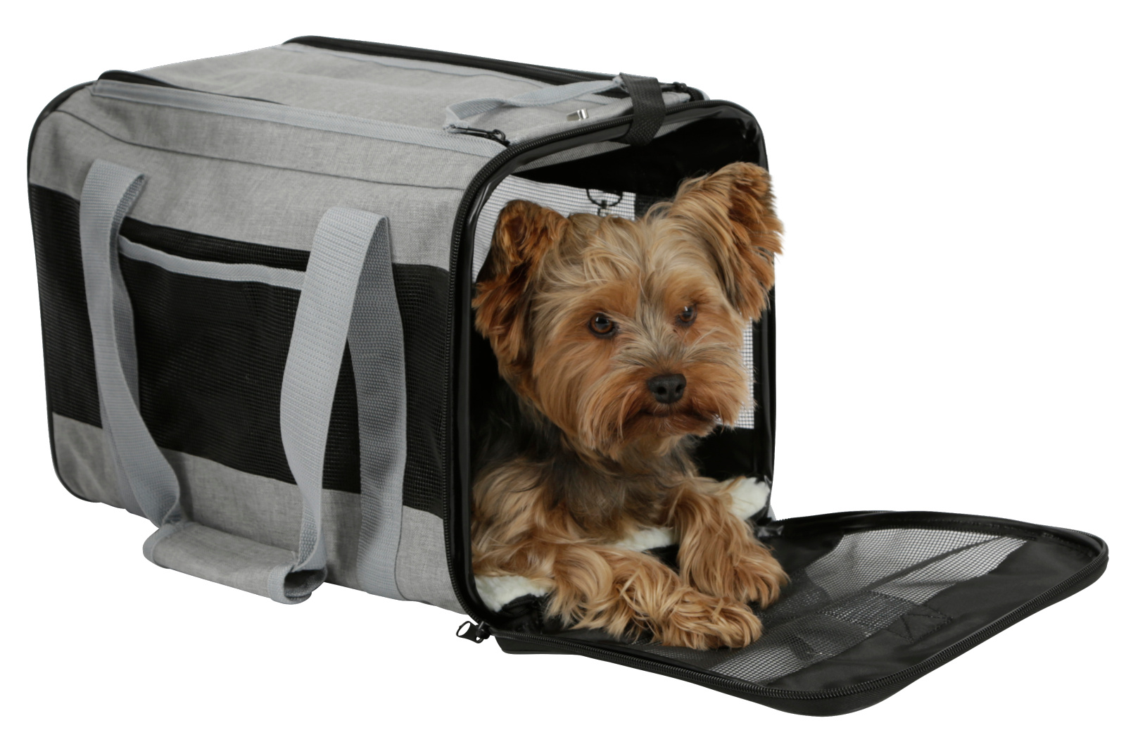 Kerbl Casual Bag borsa trasporto cane rete tracolla base rigida