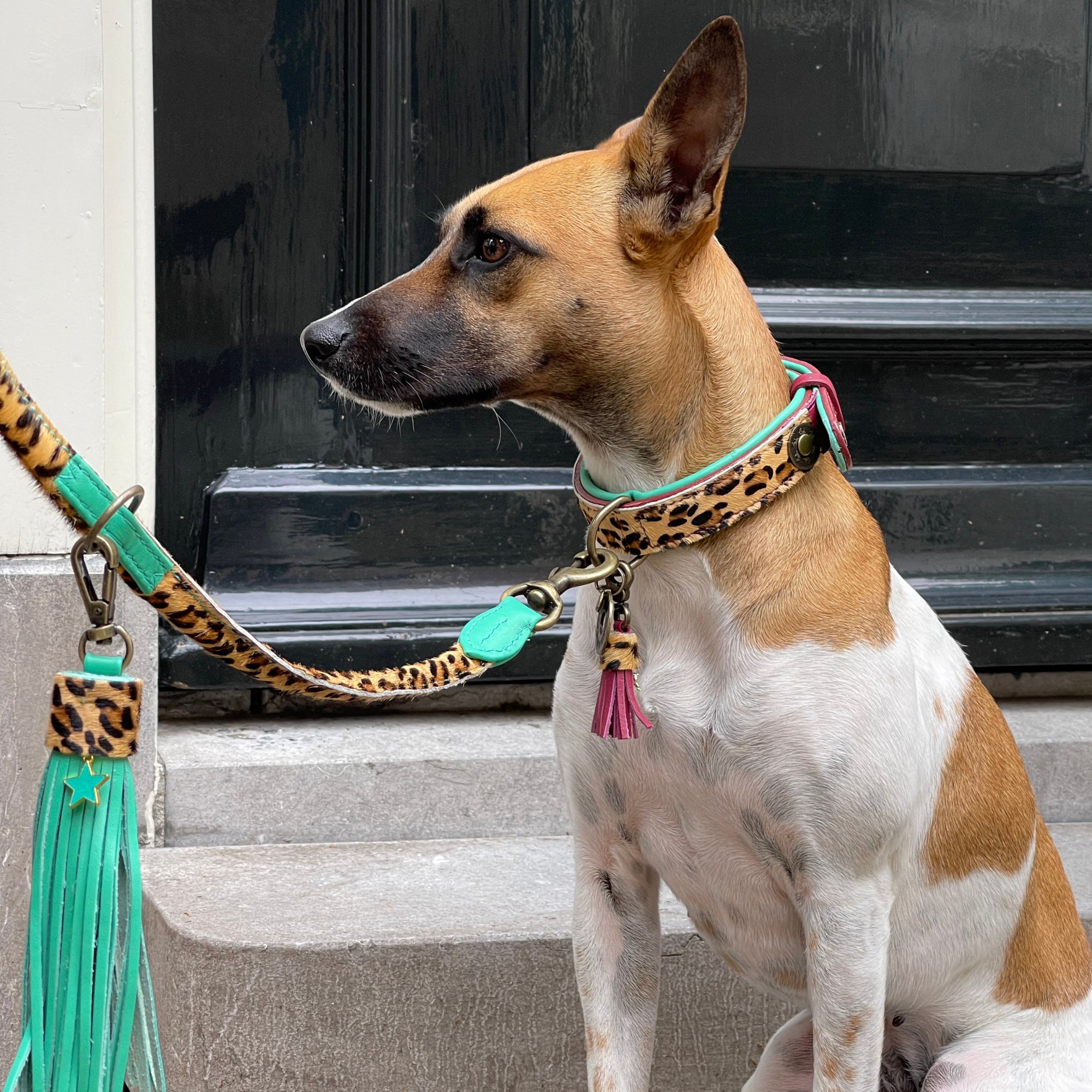 Dog with a Mission Lou Lou collare cane pelle bordeaux M 34-39 cm