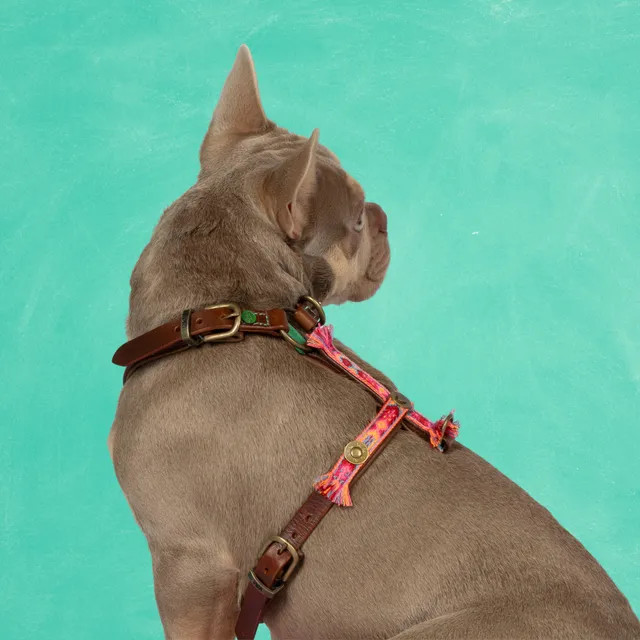 Dog with a Mission Boho Rosa Pettorina M rosa 54,5-68 cm