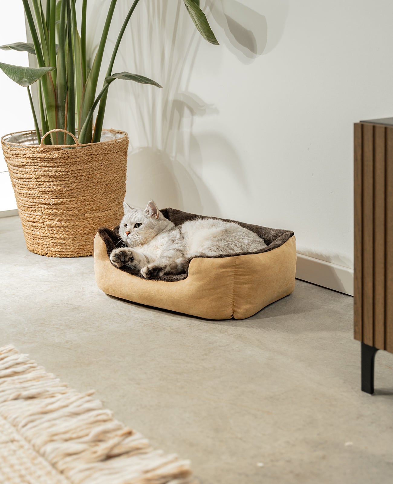 Lionto Katzenbettchen letto gatto marrone 60x48 cm morbido